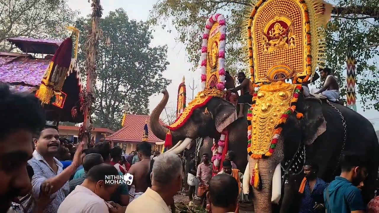 pokkulangara pooram 2025