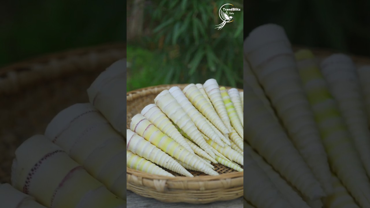 Hidden Heritage: Discover the Autumn Bamboo Shoot Traditions Deep in China&rsquo;s Mountains