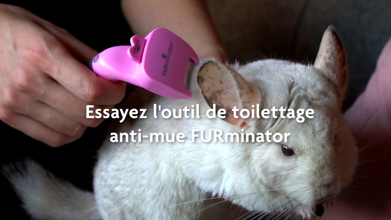 La brosse Furminator anti-mue pour petits animaux