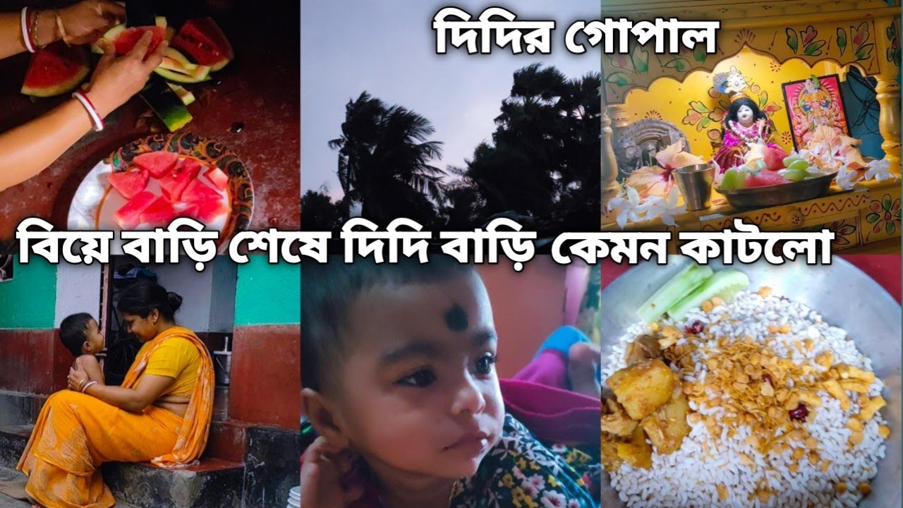  বিয়ে বাড়ি শেষে একাদশিতে দিদি বাড়ি কেমন কাটলো, কী কী খেলাম, রাতে হলো ঝর 