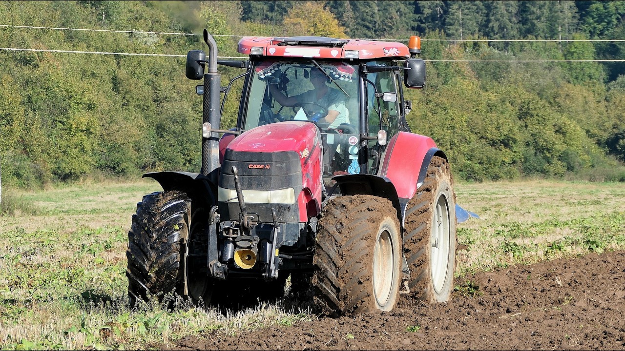 Вспашка 2024 Case IH Puma 210 + Pöttinger Servo 25; Вспашка навоза во влажную погоду