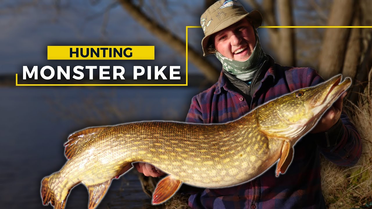 Hunting Monster Pike -- Finally we did it!! (#8)