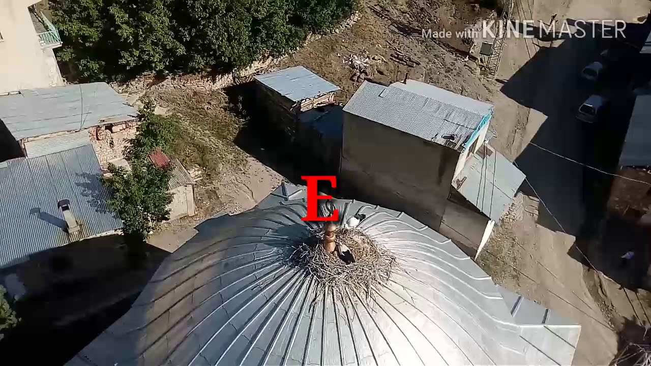 Bayburt Çiğdemtepe Köyü *Evlat Yarası*