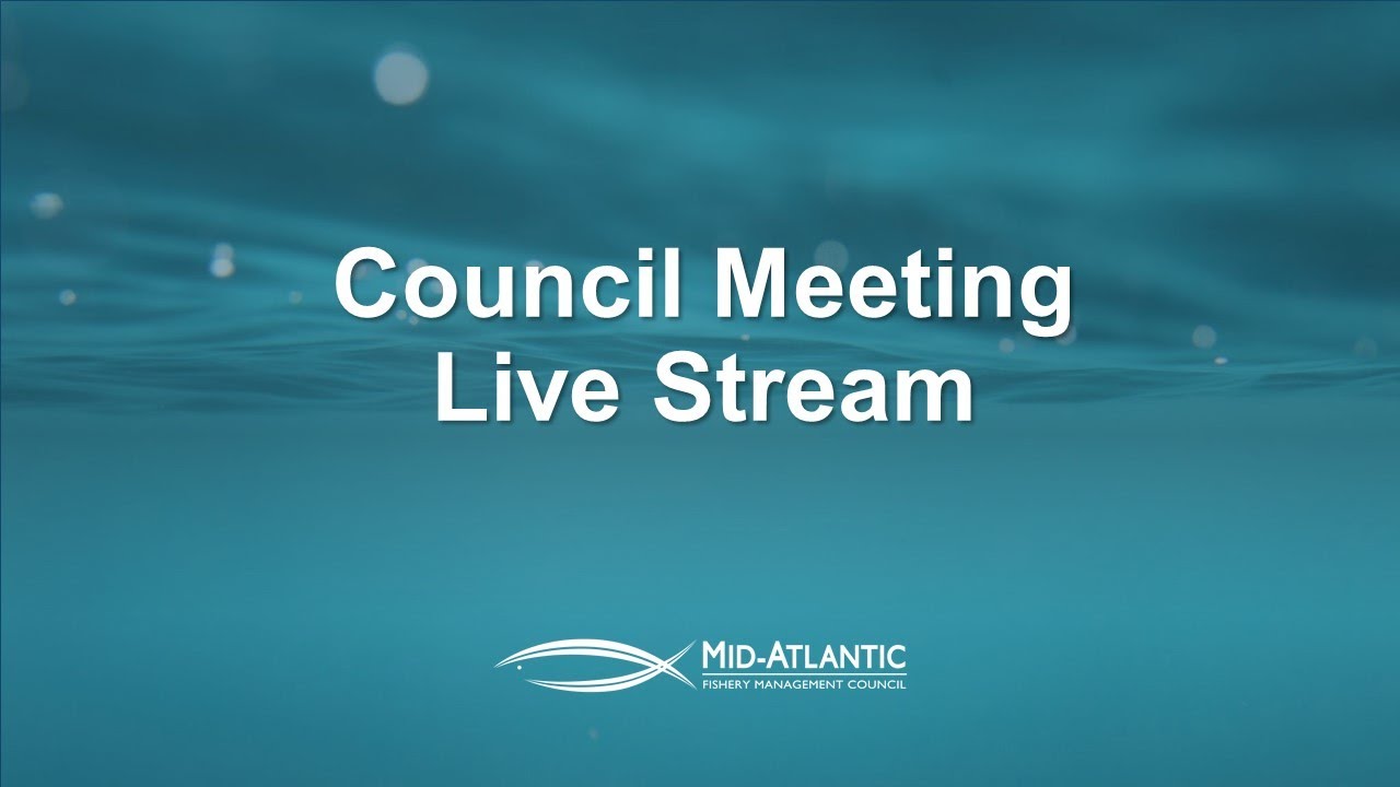 MAFMC Meeting: August 14, 2025