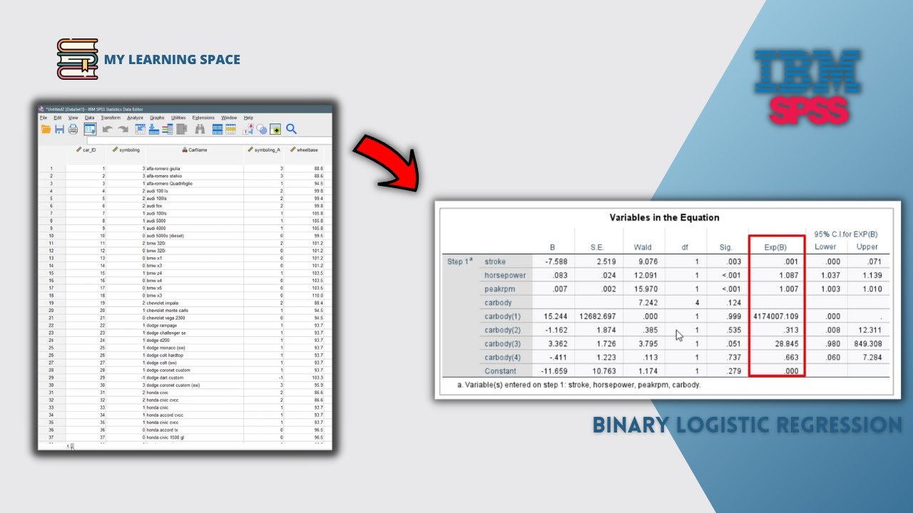 ОСВОЕНИЕ SPSS — ДВОЙНАЯ ЛОГИСТИЧЕСКАЯ РЕГРЕССИЯ С SPSS