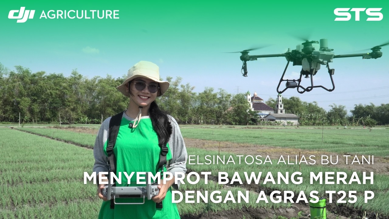 BU TANI Menyemprot Bawang Merah Dengan AGRAS T25 P