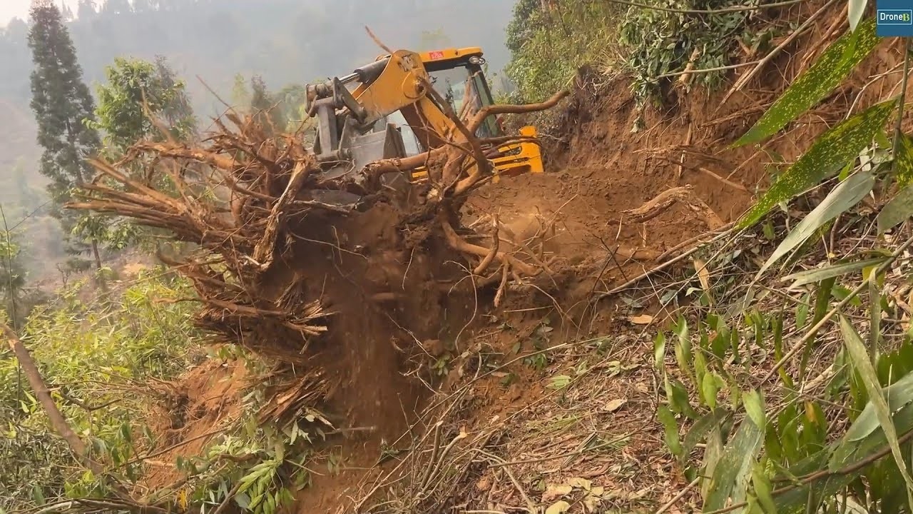 The Big Tree Root Struggle-Mountain Road Construction Obstacle