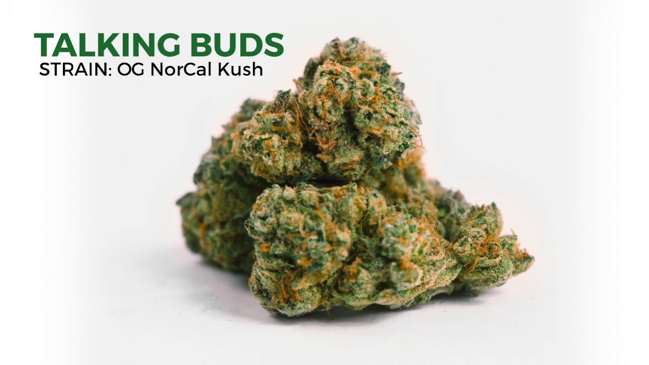 Talking Buds: OG NorCal Kush