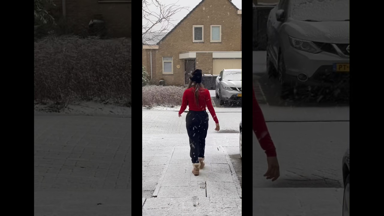 #snow #snowfall #netherlands