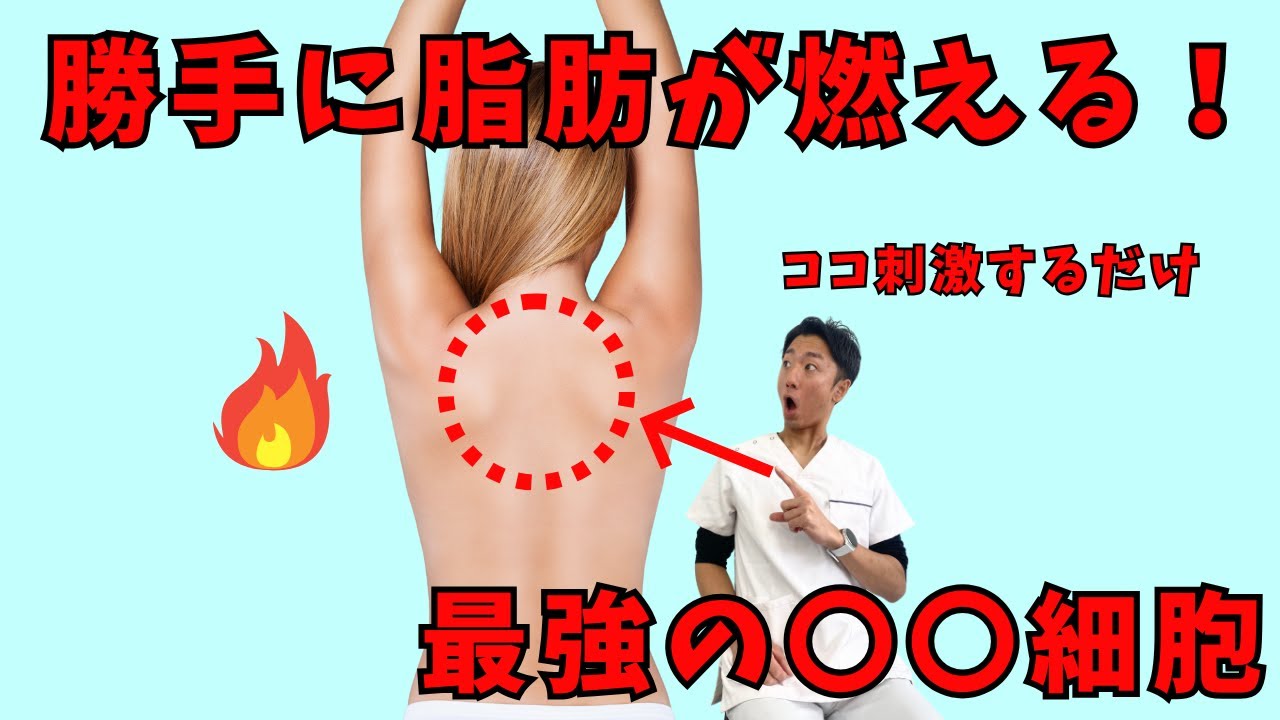 【座ったまま３分】ガチガチの肩甲骨を剥がして勝手に脂肪を燃やす身体にする方法