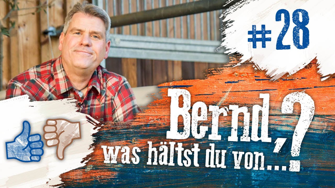 Bernd, was hältst du von...? #28 Pferde eindecken, übermüdet weiterarbeiten, Isländer & Doppellonge