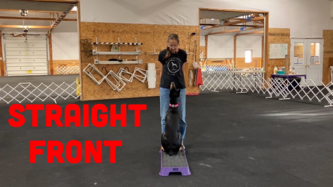 Competition Obedience - Intro to Straight Fronts