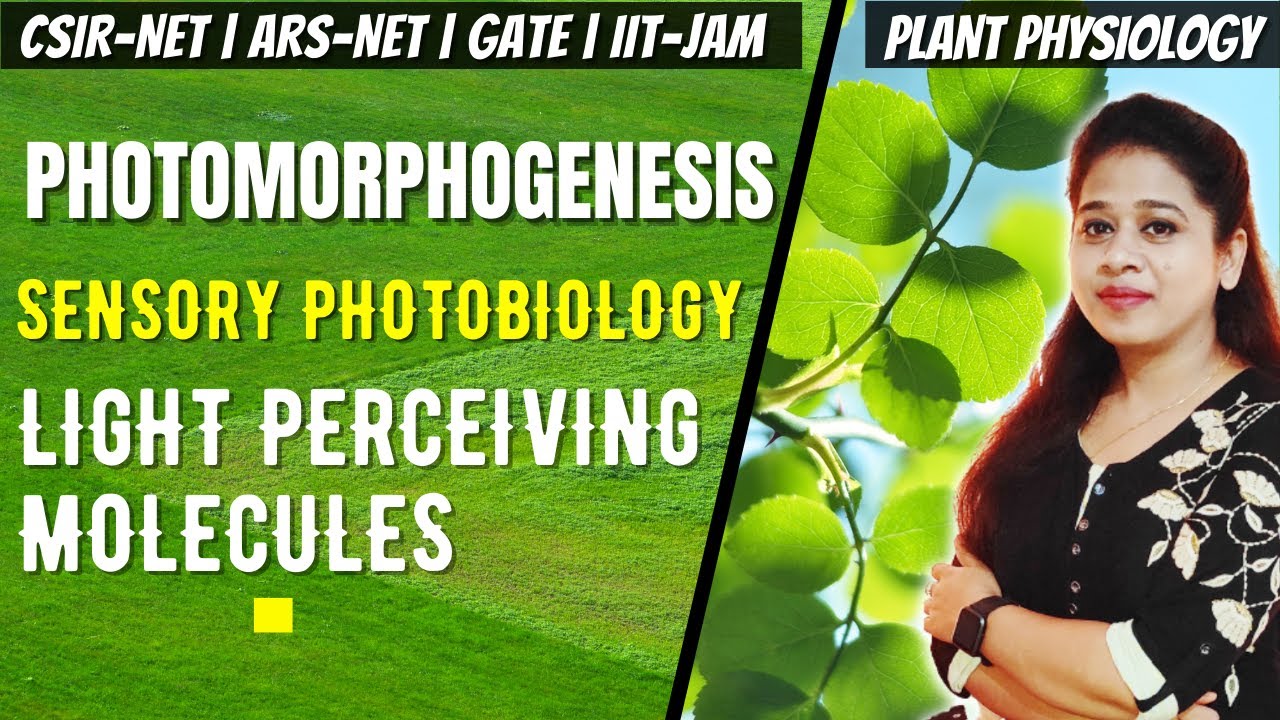 Photomorphogenesis | Photomorphogenesis in Plants CSIR NET | Sensory Photobiology CSIR NET