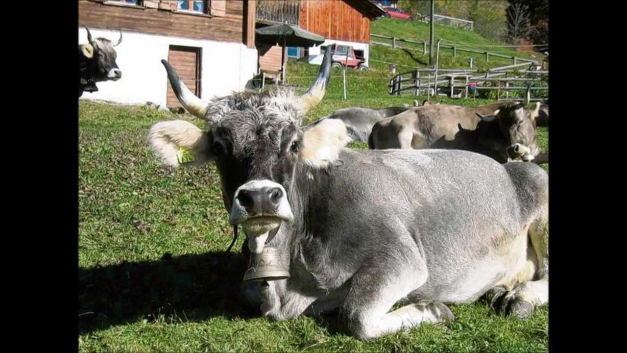 Liechtenstein Lied - für Fürst , Gott und Vaterland
