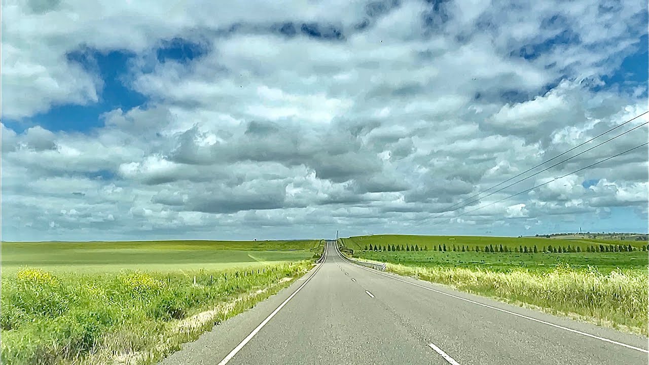 DRS EXOTICS ROAD TRIP IN AUSTRALIA NOVEMBER 2022 SYDNEY BAROSSA VALLEY NSW SA