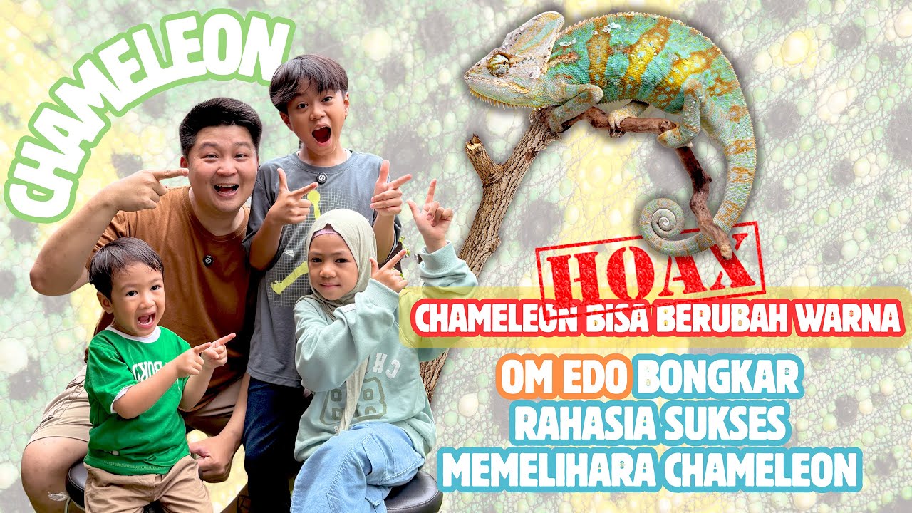 027 | CHAMELEON - Reptil Lucu Dengan Beragam Keunikan