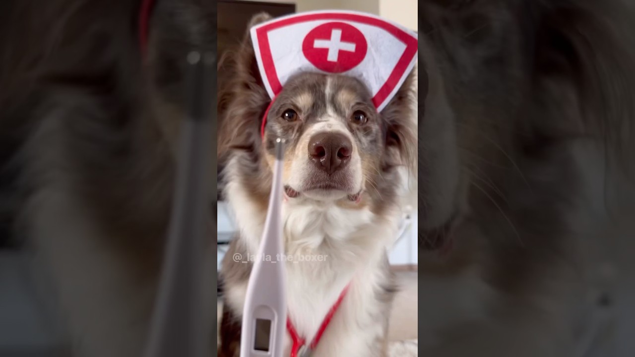 Nurse Luna at your service! (Throwback) 