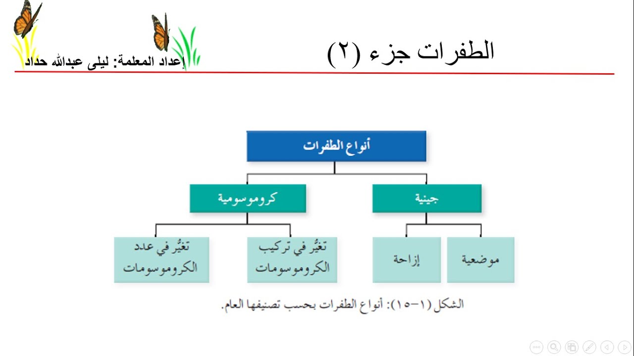 22- الطفرات جزء 2 ، احياء توجيهي الاردن 2003-2004