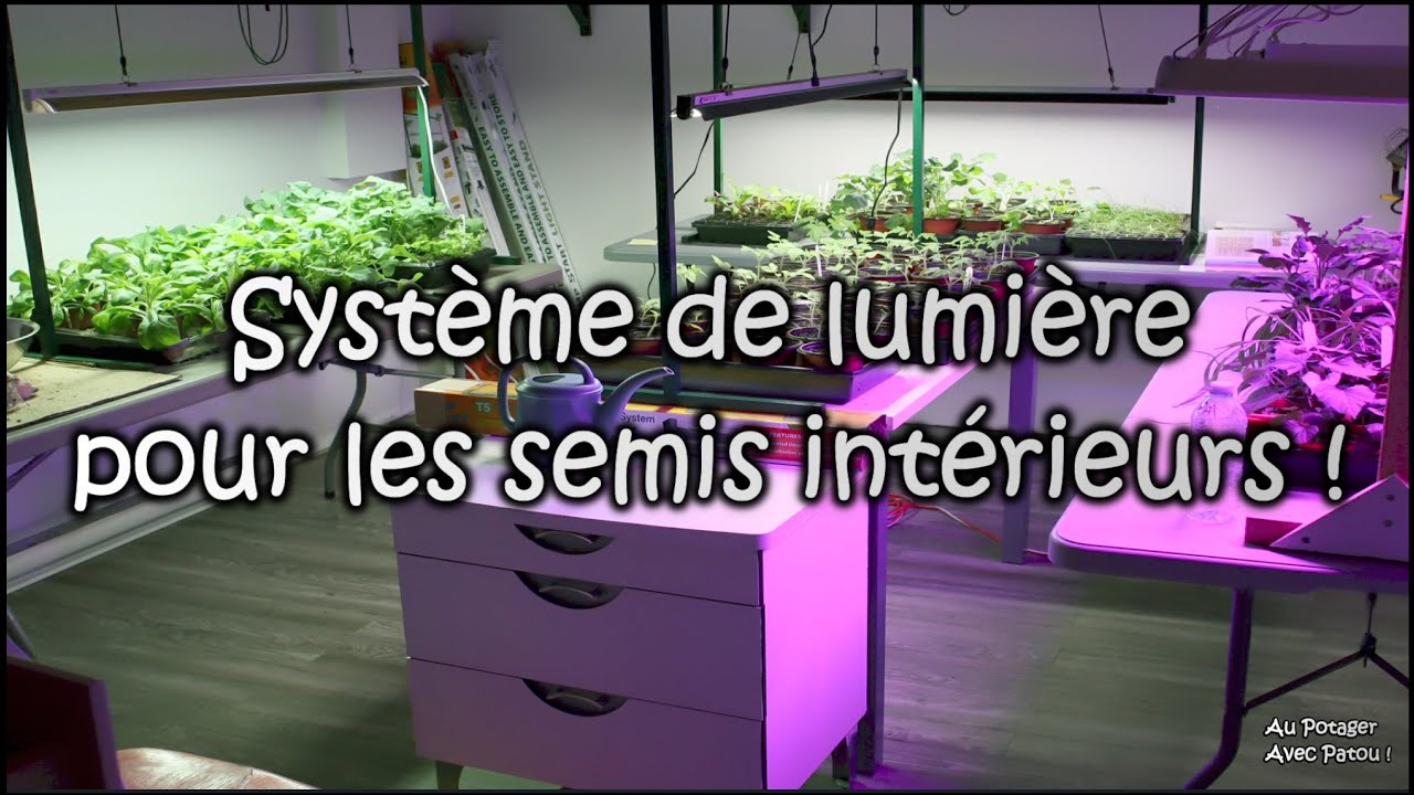 Système de lumière pour les semis intérieurs