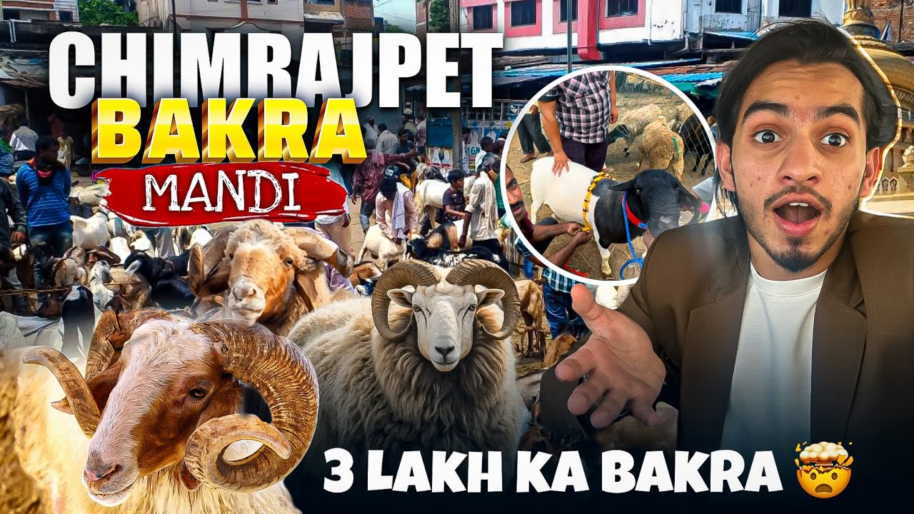 Chamrajpet Mai Aaya 3 Lakh Ka Bakra😳 | Itna Mehnga? | Bakrid Vlog!