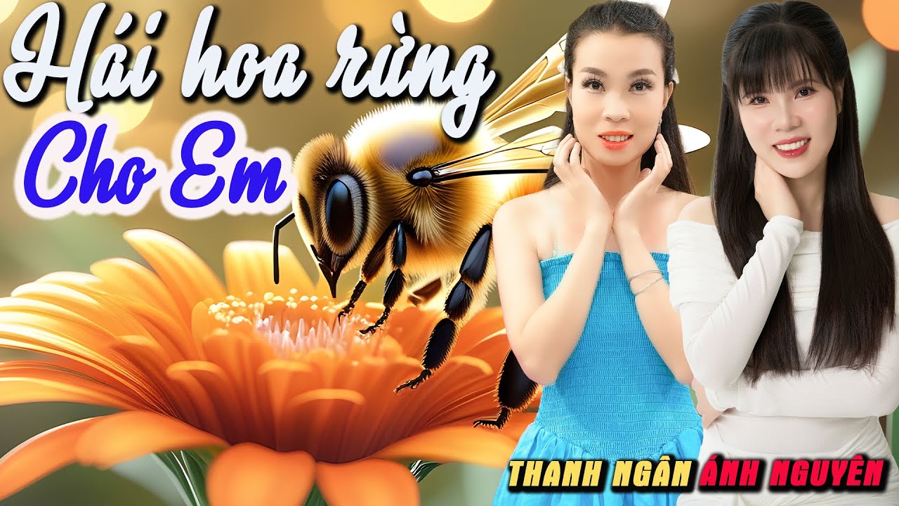 Để Trả Lời Một Câu Hỏi, Hái Hoa Rừng Cho Em | Thanh Ngân ft Ánh Nguyên