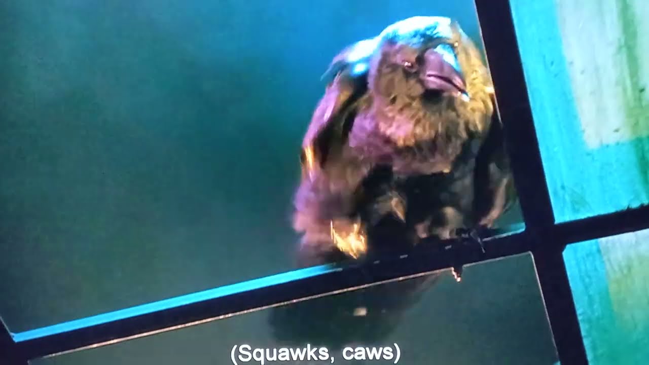The Crow: City of Angels (Opening Scene)