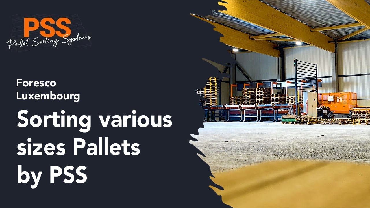 Sorting various sizes Pallets by PSS - Foresco - Luxembourg