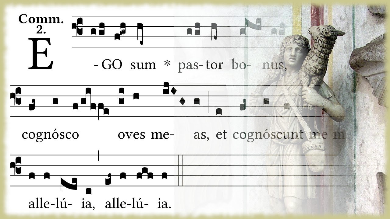 Ego sum pastor bonus - Communion antiphon with Alleluia