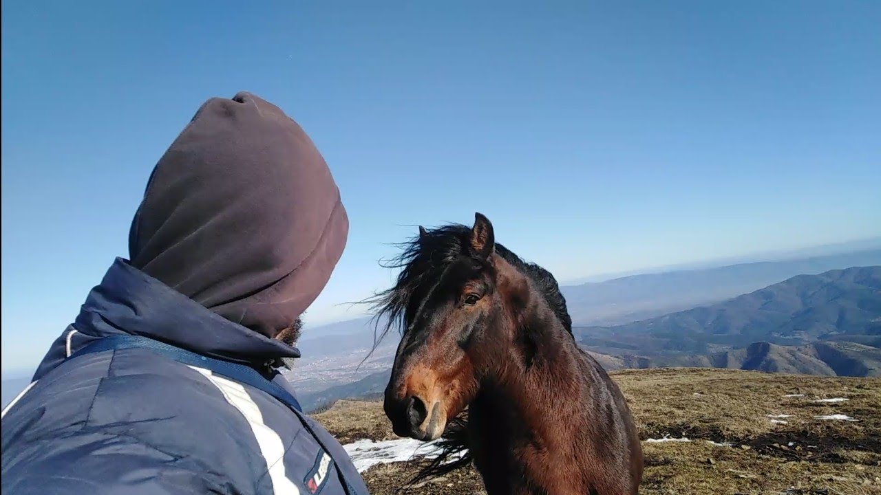 Stolovi, Usovica. Prvi deo; Ka vrhu,. Divlji konji 👍👌🐎🍀🐴🦅🌲