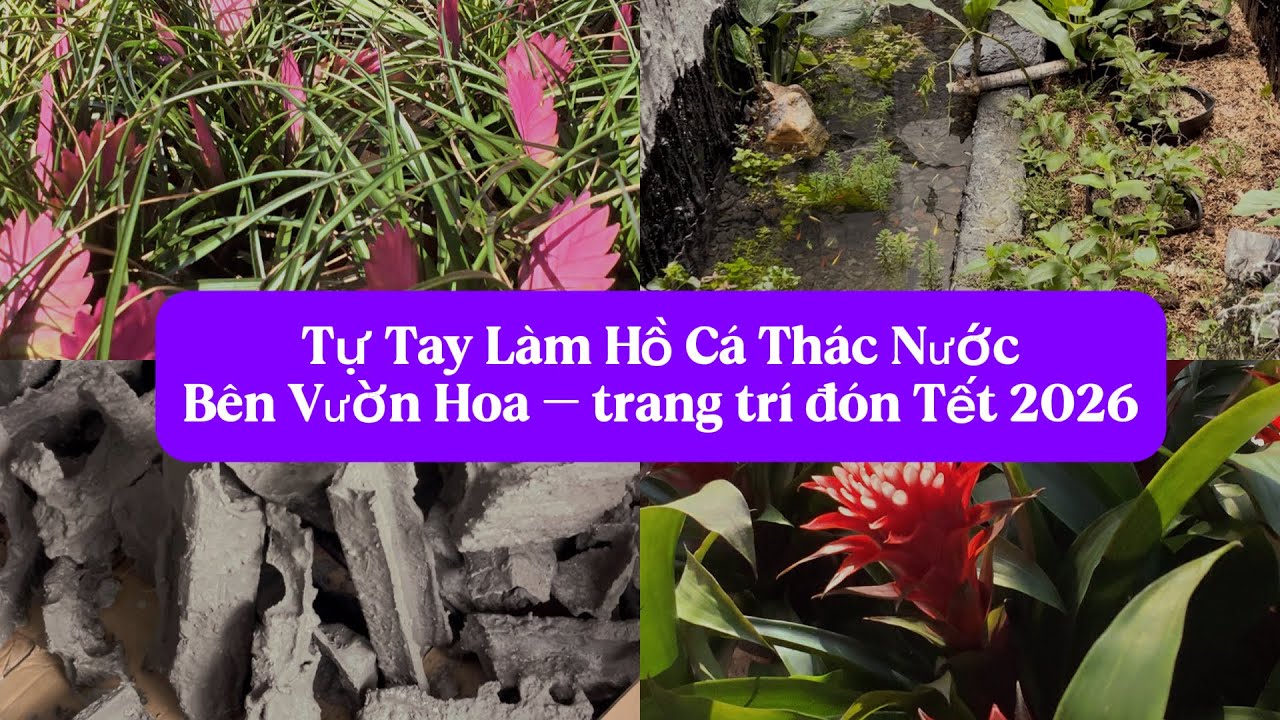 Tự Tay Làm Hồ Cá Thác Nước Bên Vườn Hoa – Trang trí đón Tết 2026