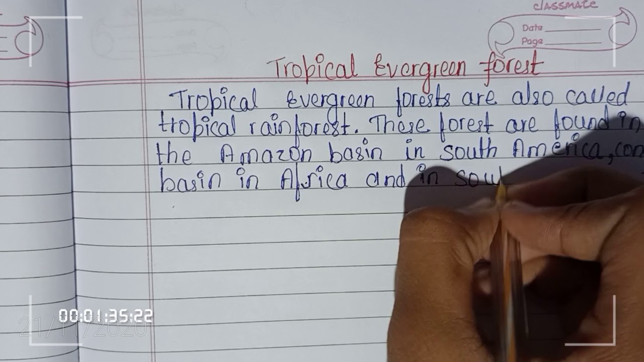 Handwriting on the essay Tropical rainforest//𝑯𝒂𝒏𝒅𝒘𝒓𝒊𝒕𝒊𝒏𝒈