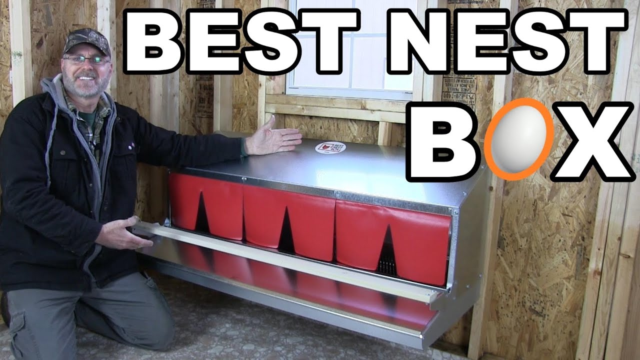 The Best Nest Box for Chickens | Assembly and Installation