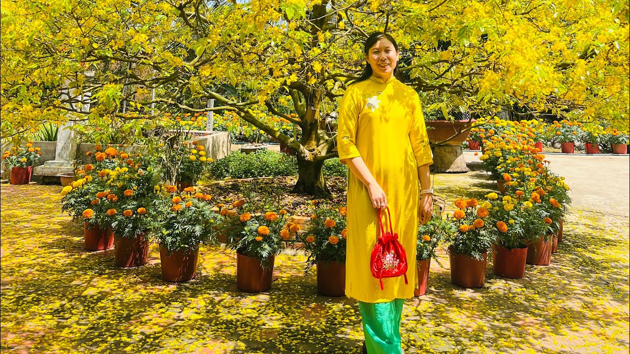 🧧Du xuân 2026 : Phú Yên_Bình Định🧧@NKFamiliesVlogs 