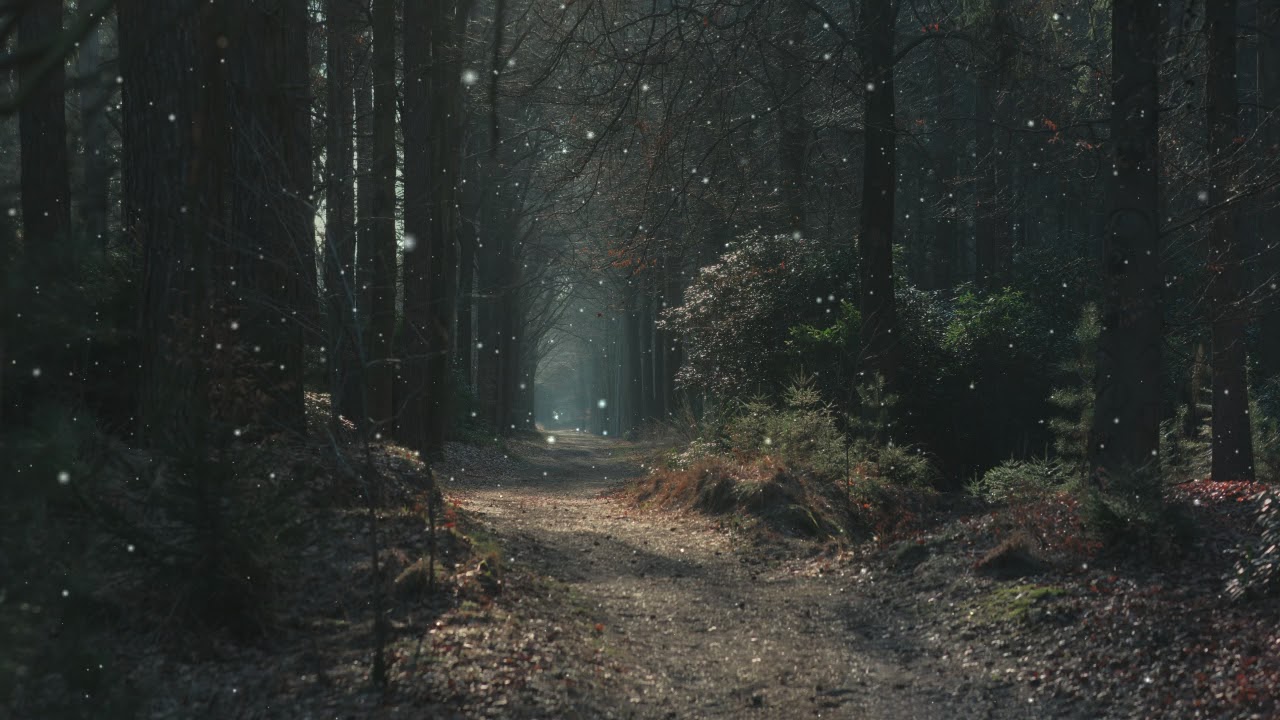 Vingnir - Hule