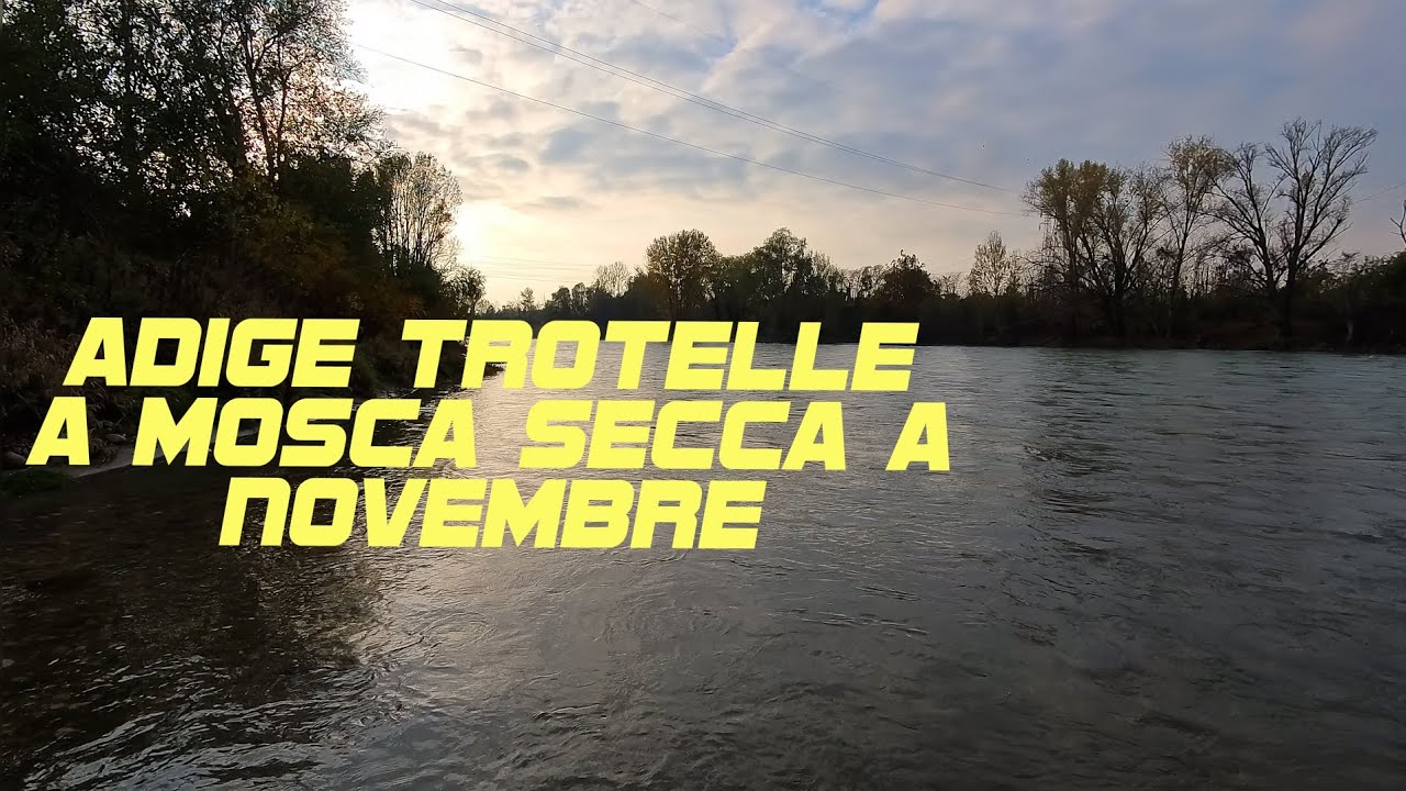 Mosca Secca e Ninfa in Adige a Novembre 😎🎣