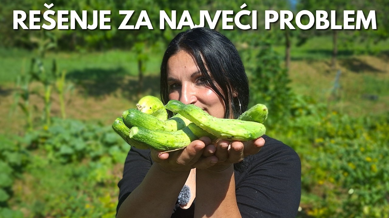 Как Я Избавилась от ПАУТИННОГО КЛЕЩА На ОГУРЦАХ?