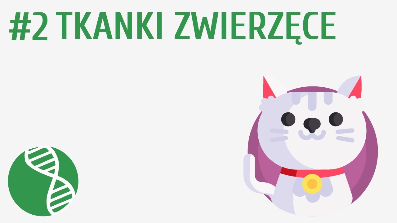 Tkanki zwierzęce #2 [ Tkanki ]