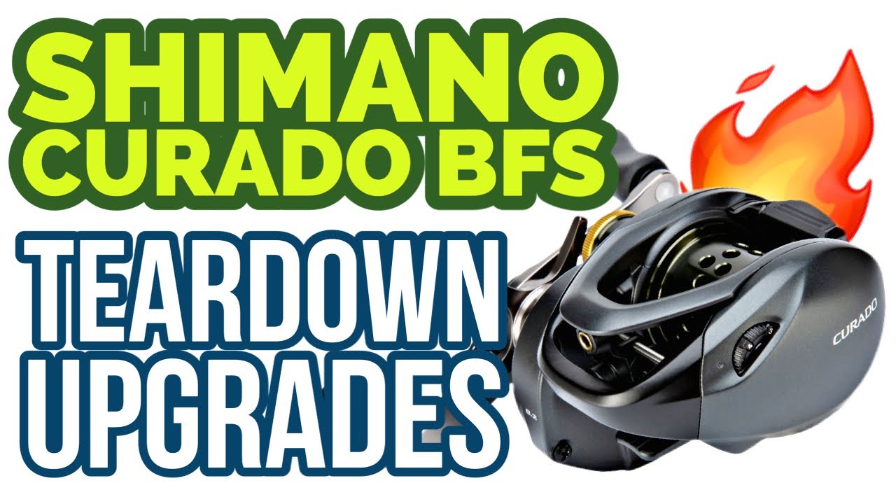 🔥🤘SHIMANO CURADO BFS TEARDOWN + MOAR BEARINGS 🐻!!!