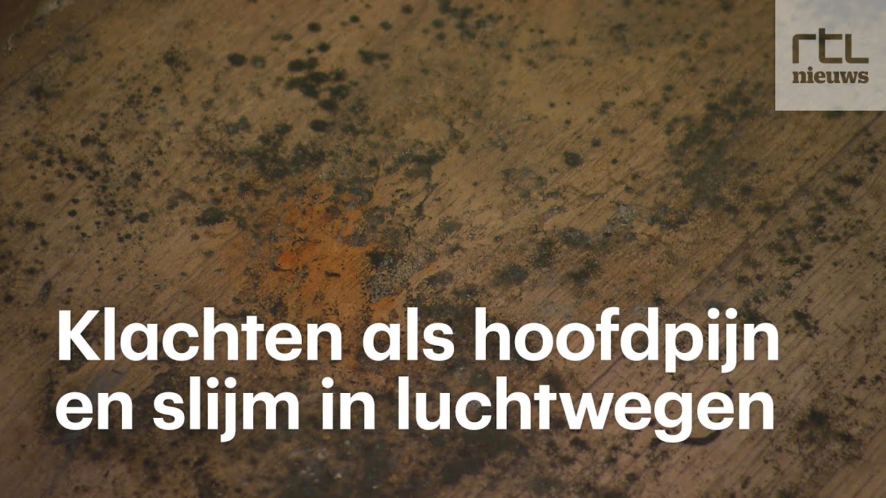 Honderdduizenden huishoudens zetten kachel lager: huizen vol schimmel het gevolg