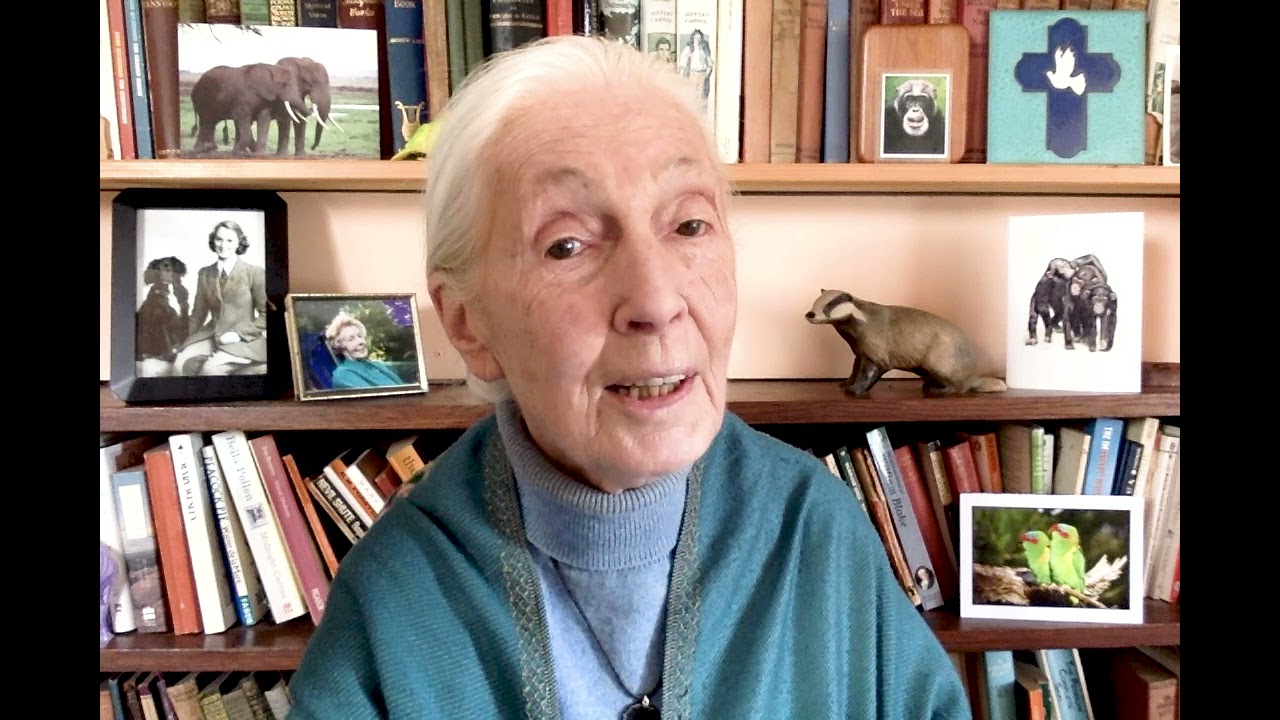 Earth Day 2021 - a message from Dr. Jane Goodall