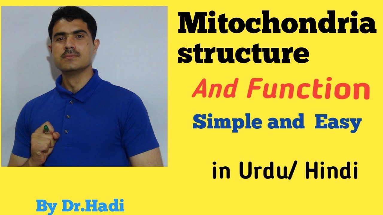L-11 Mitochondria ( Mitochondrion) Structure and Function  in Urdu Hindi by dr A. Hadi