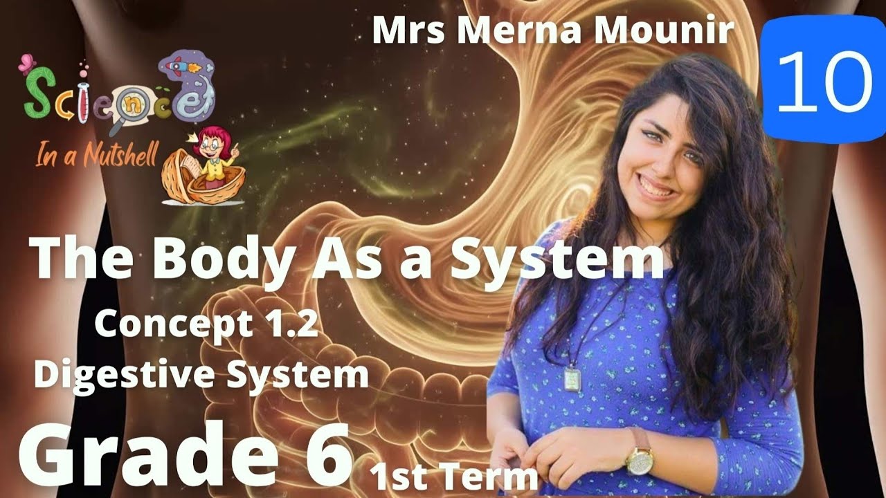 SCIENCE _Junior 6_Concept1.2_Digestive System 