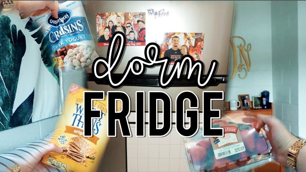 What's in my College Dorm Mini-Fridge?