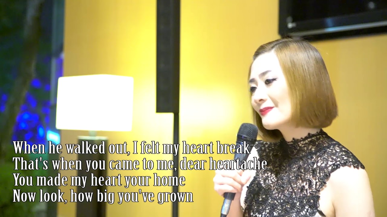 TERESA SING Barbara Mandrell - Happy Birthday Dear Heartache with Lyrics