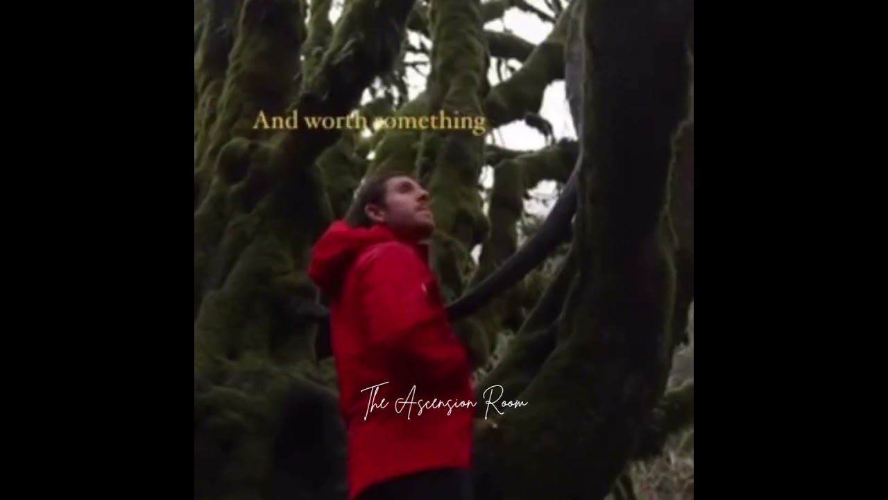 Gentle reminder&hellip; #foryou #manifestation #mindset #motivation #trending #video #affirmations #bhfyp
