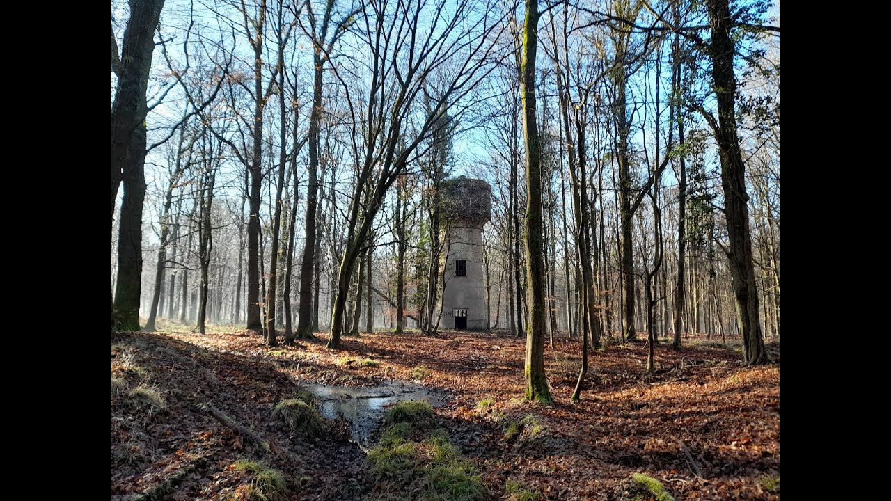Camp fantôme en forêt de Mormal (Raucourt-au-Bois)