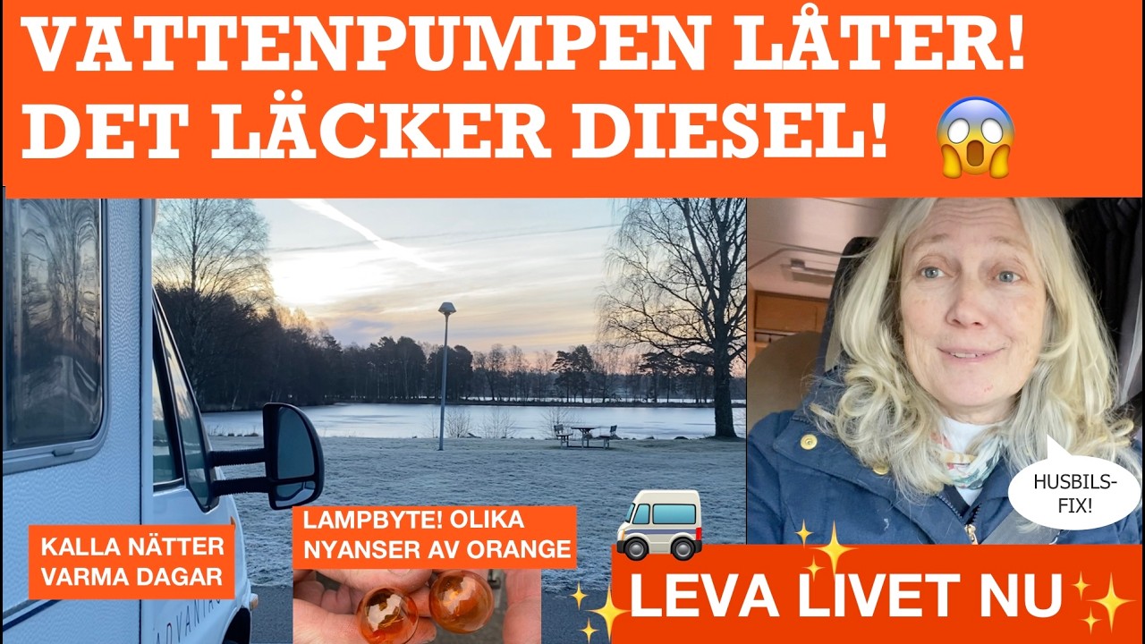 Vattenpumpen kör oavbrutet, läckage under bilen? (342)