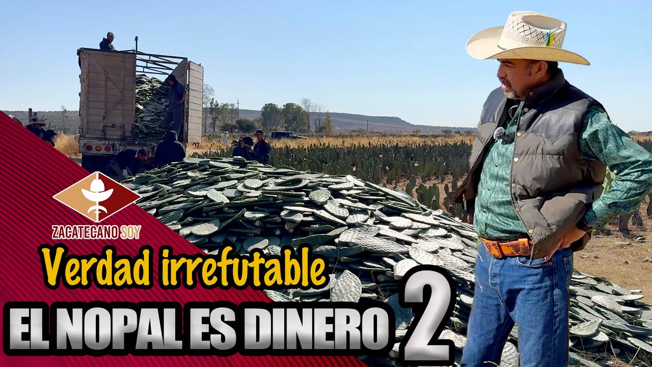 Verdad irrefutable EL NOPAL ES DINERO 2