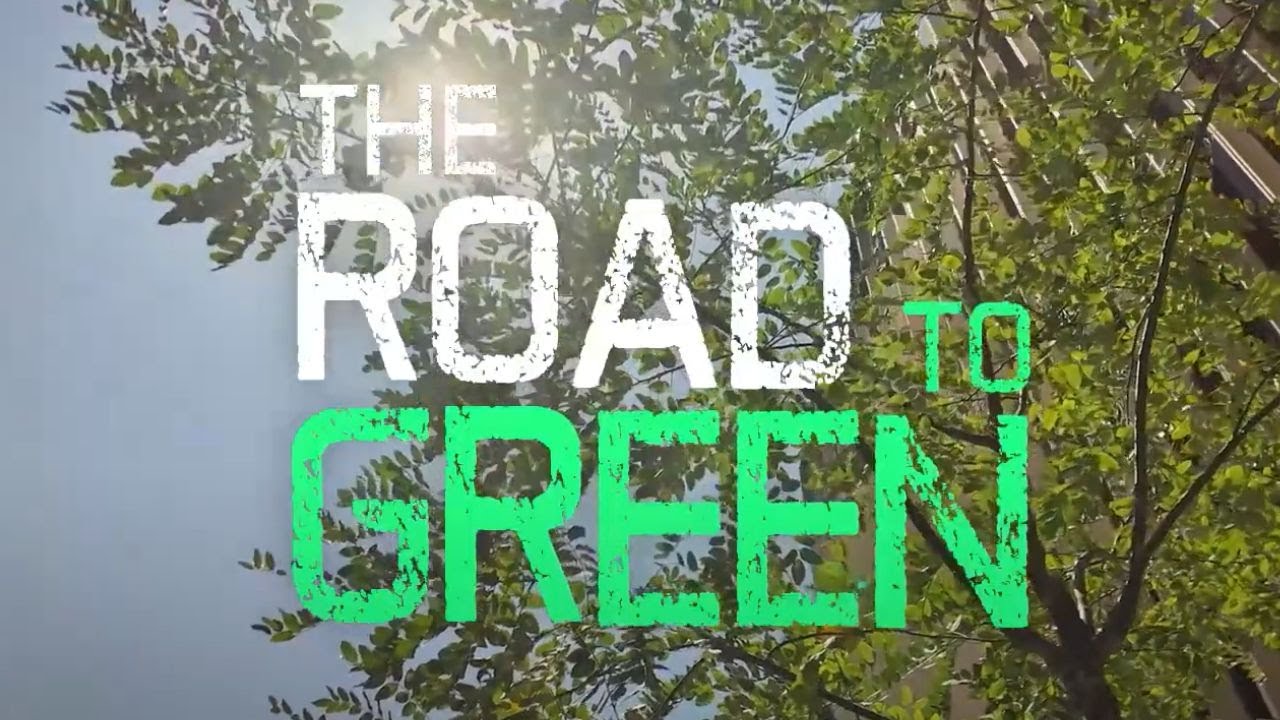 Lo explicamos: por qu&eacute; hacer ciudades verdes no solo consiste en plantar m&aacute;s &aacute;rboles
