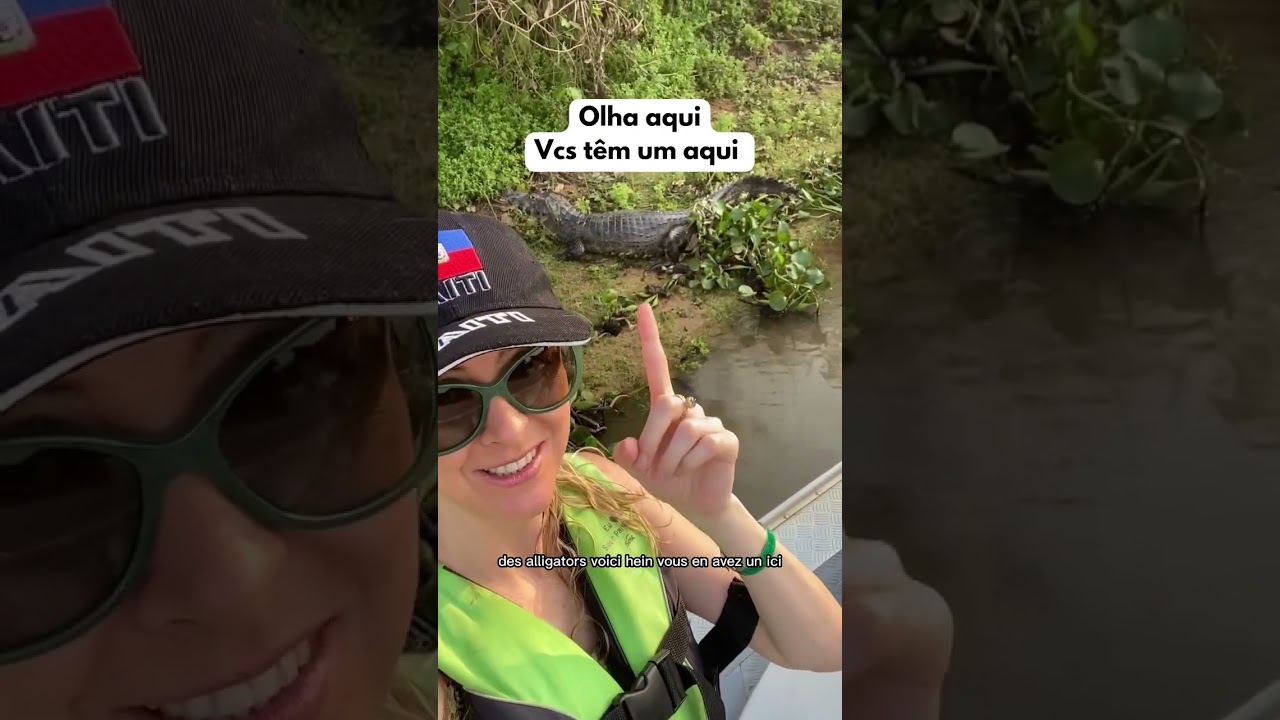 Jacar&eacute; no Pantanal | Em FRANC&Ecirc;S  #shorts #frances #pantanal